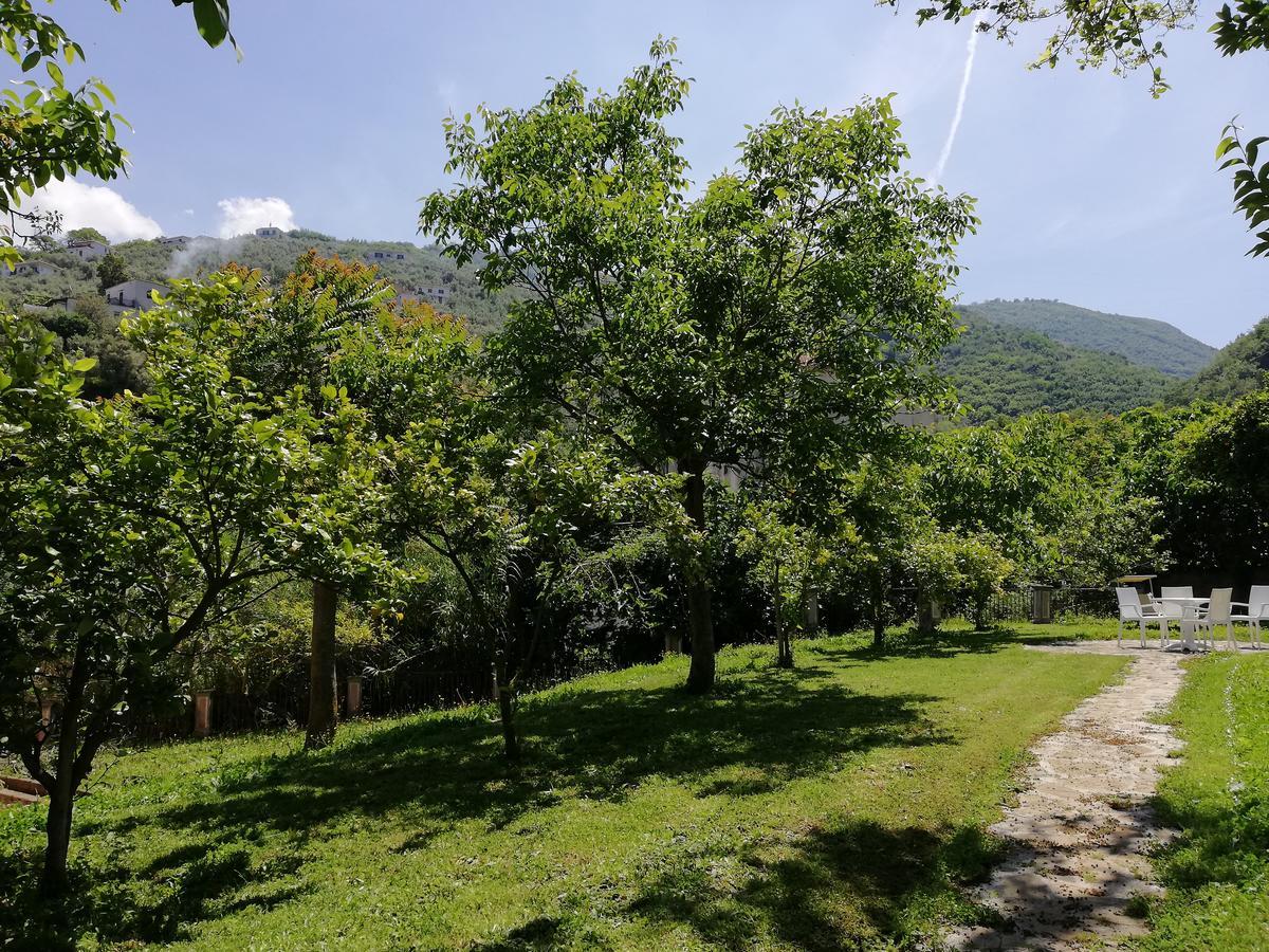 Casale Le Noci Apartment Vico Equense Bagian luar foto