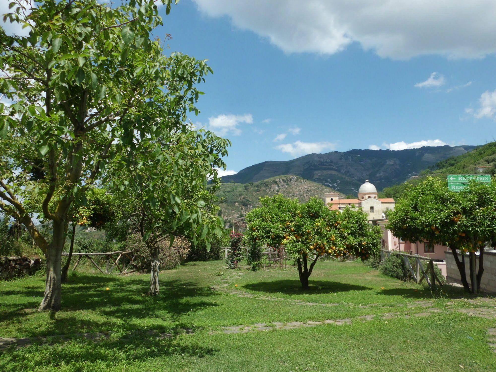 Casale Le Noci Apartment Vico Equense Bagian luar foto